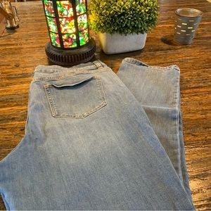 Westport Blue Denim Spandex Jeans 16